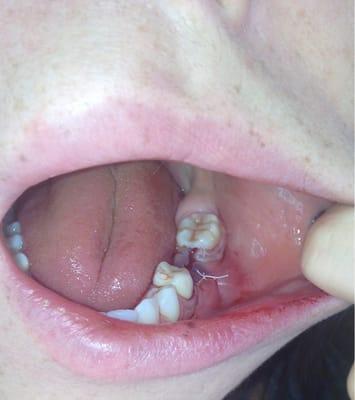 Brimhall Rodney J DDS