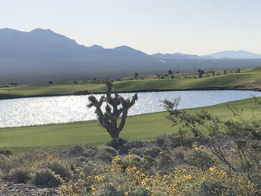 Southern Nevada Golf Association For Business Women