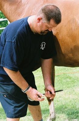 Equine Services By Robert Barwick