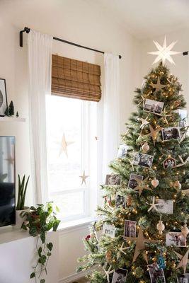 Riverside Christmas Tree Farm