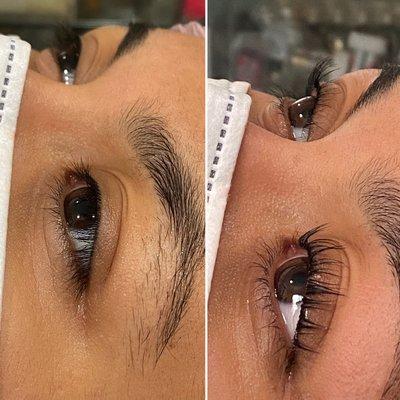 Lash Lifting with color only 80$