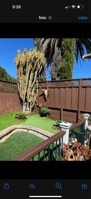 Jr Landscaping & Maintenance