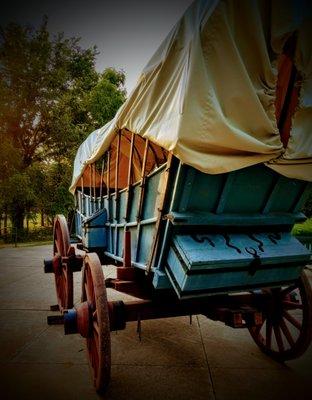 Selfdiagnosis Photography