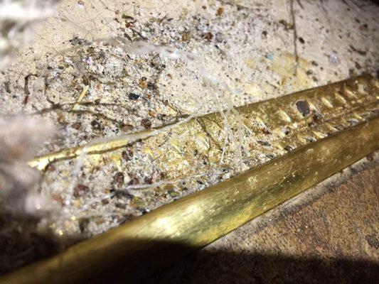 Century 21 Southern Homes Raalty