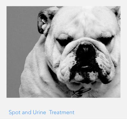 T A B Pro Cleaning Services