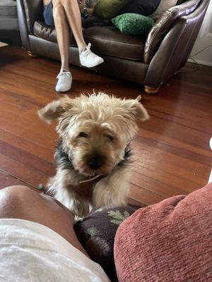 Kelly is a sweetheart and has never met a stranger.