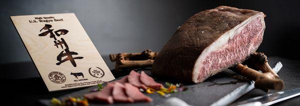 ATM International USA