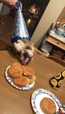 One of my fur baby tenants lol!