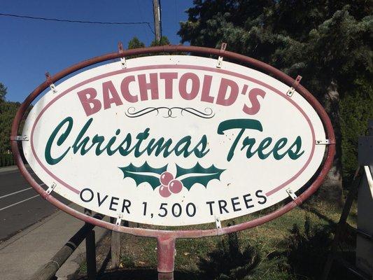 Bachtold's Christmas Trees