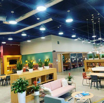 Stephen Diaz - eXp Realty