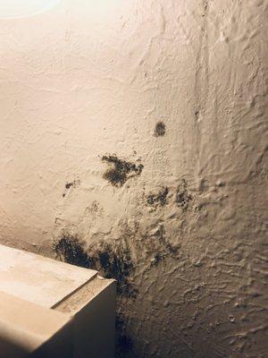 1590 South Pearl Street Apartments