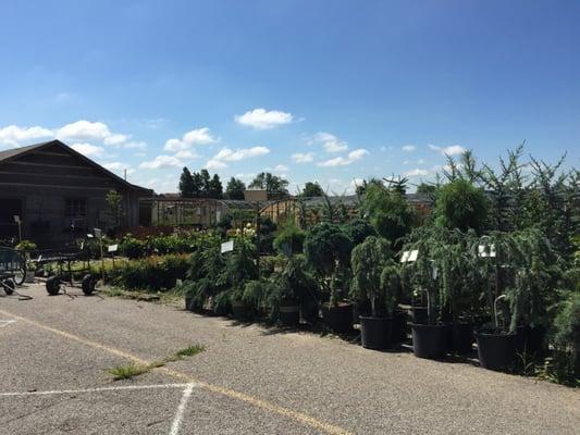 The greenhouses in the front. There looked to be about 20 total greenhouses. Great place!