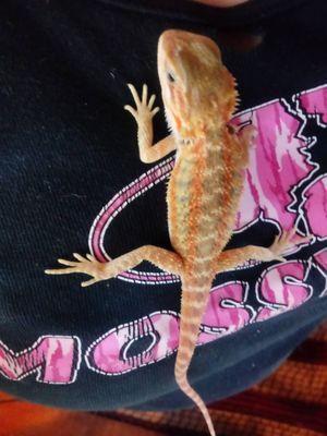 Big Sal's Feeder Farm