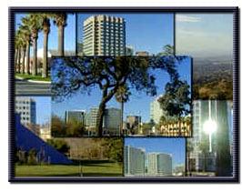 Al Chavez Insurance Agency