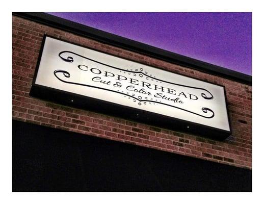 Hair Junkee Nicole Miller