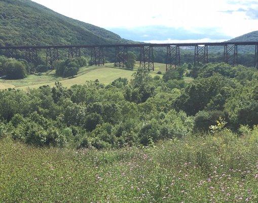 The trestle bridge that was in the movie Michael Clayton-- the car blew up. Picture doesn't do it justice