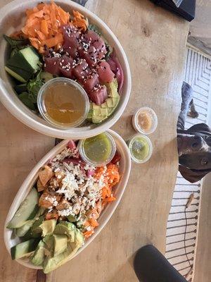 Tune poke bowl on left and spicy quinoa bowl on right...with a puppy that wanted some too