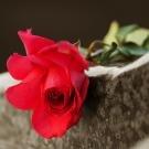 Barnes Funeral Home & Cremation