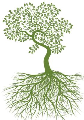 Cranbrook General Underwriters