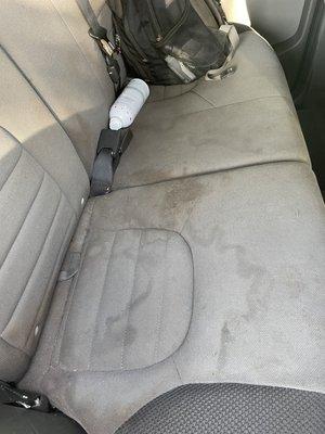 Fresh Fibers Floor Care