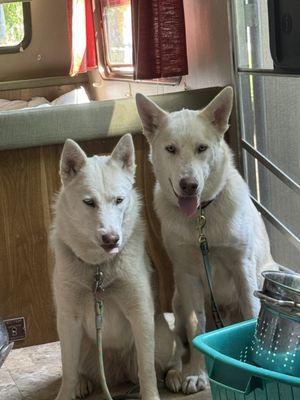 Dinner time for these two!