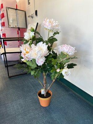 Dave’s Outlet Store