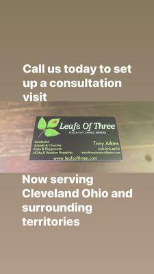 Leafs Of Three Cleveland