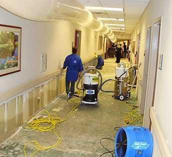Emergency Water Damage Services in Calabasas, CA