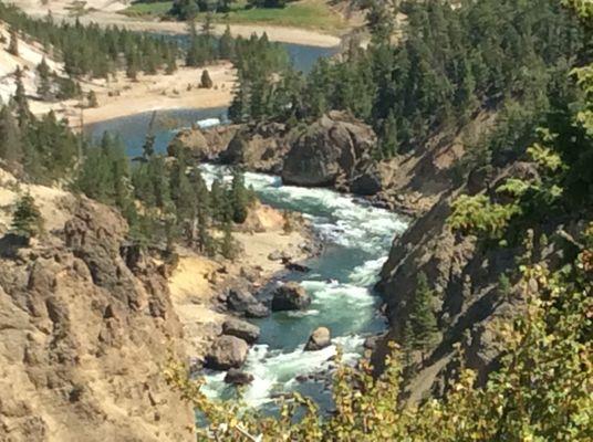 Get married in beautiful Yellowstone!