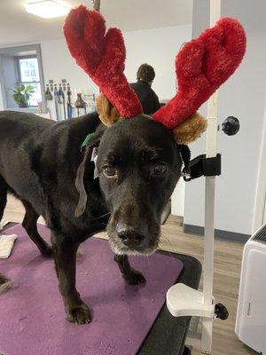 Tiffany sent us this picture while my dog was getting groomed - a super sweet gesture