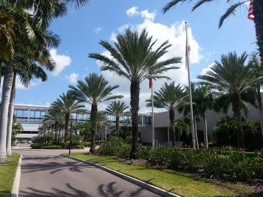 8285 Bryan Dairy Rd
Ste 125
Largo, FL 37777