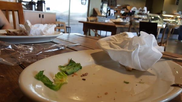 There use to be a cheeseburger there