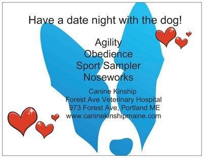 Fostering Relationships between Dogs and People