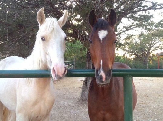 Red Horse Ranch