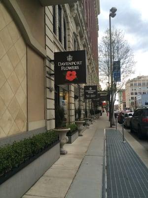 Davenport flowers