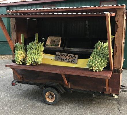 Banana Shack