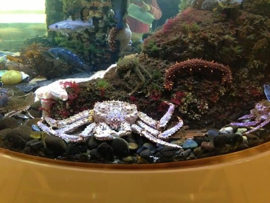 United States Government