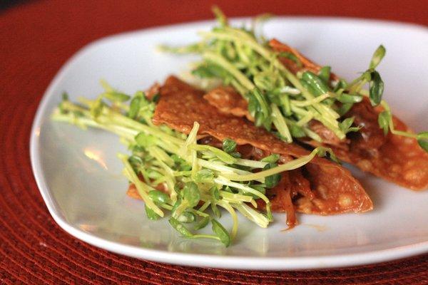 Duck tacos: duck confit, wonton taco, korean BBQ, pea shoots