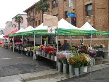 Skyline Flowers - Santa Monica Farmers Market