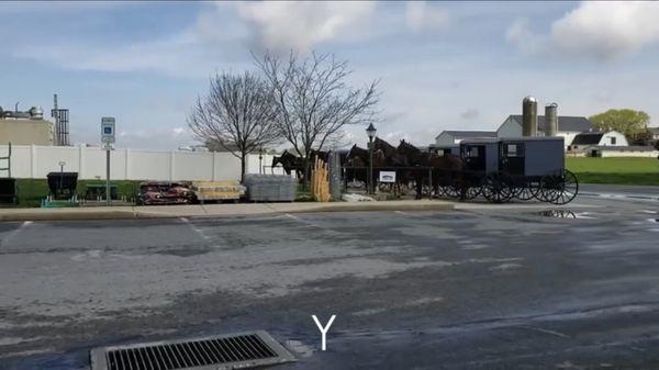 Bird In Hand Farm Supply