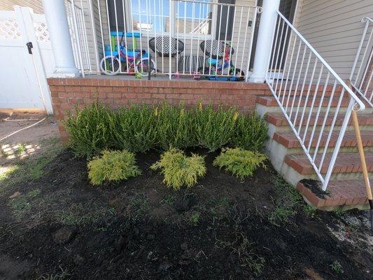 Brighton Lawn & Landscape