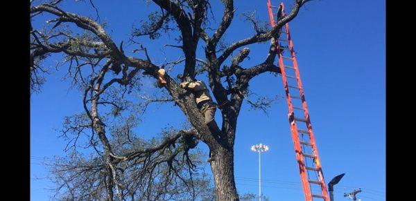 All Service Contractor