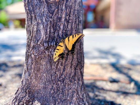 Library-Washington County