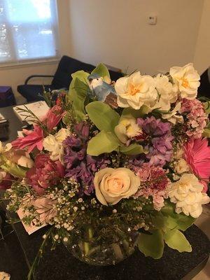 Non tropical arrangement n a BIRD of paradise?