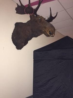 Moose Home Lodge No 1349