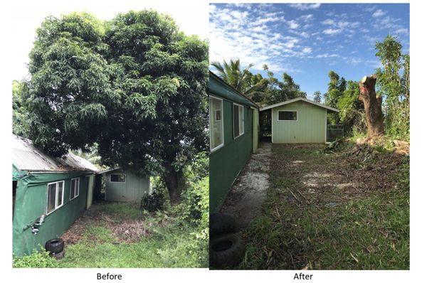 Joshua Tree Services