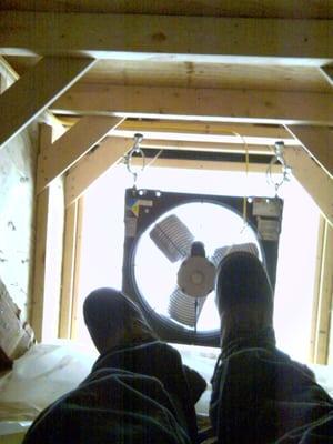 Wire Monkey Electric