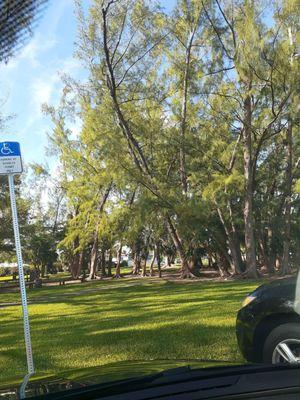 Harborview park, aka the squirrel park