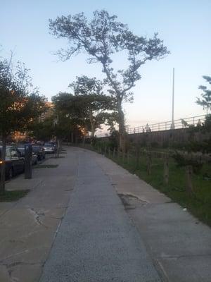 Philip F Saltiel, MD