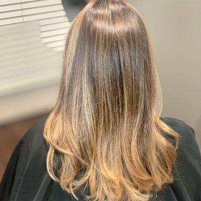 Hair Of The Dog Salon